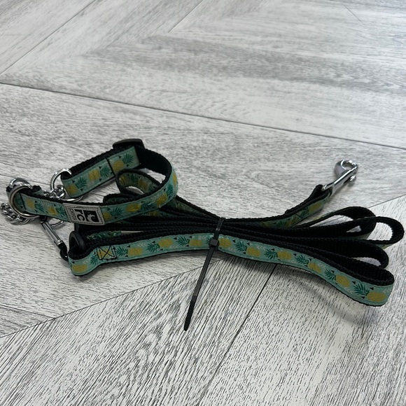 RC Pets Pineapple Pattern Size Small Dog Collar and Leash Set - Picture 1 of 3